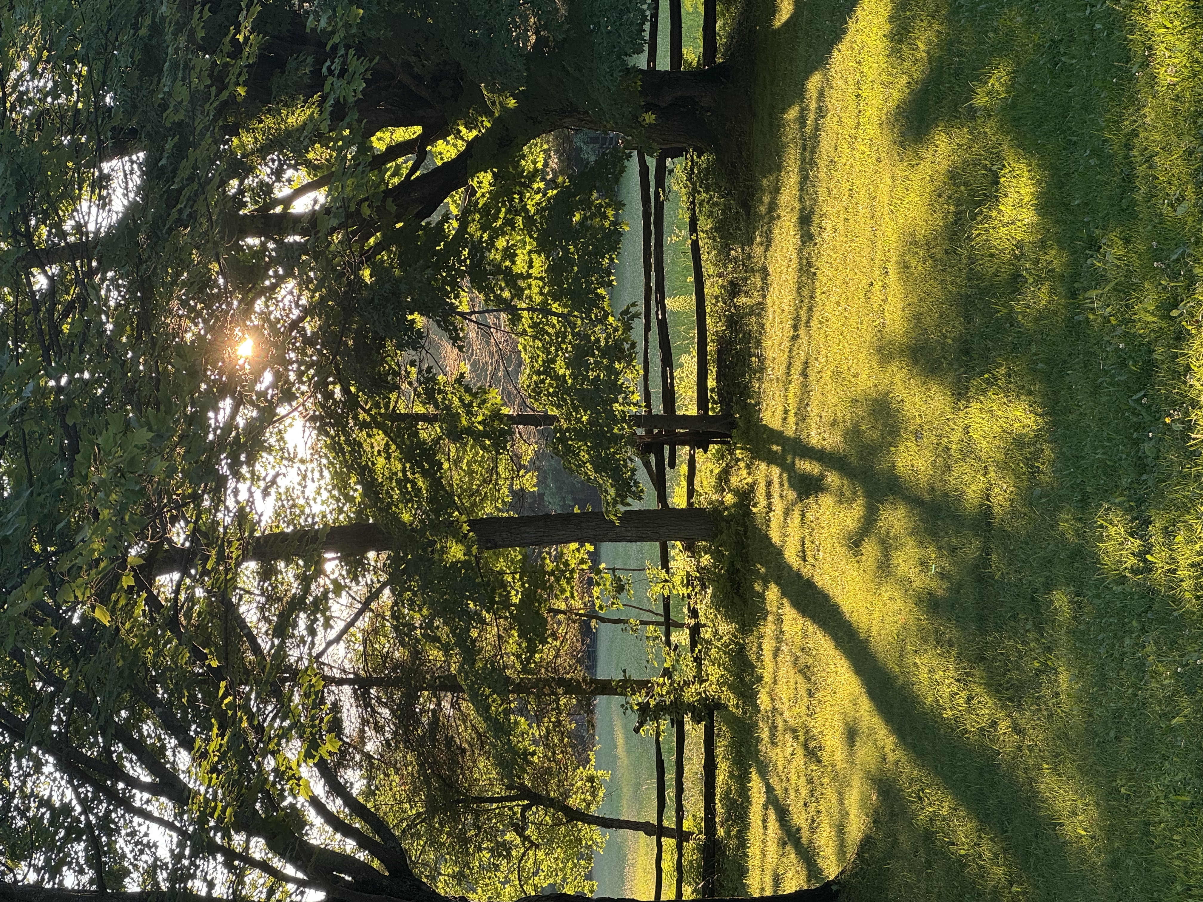 Golden hour at the property