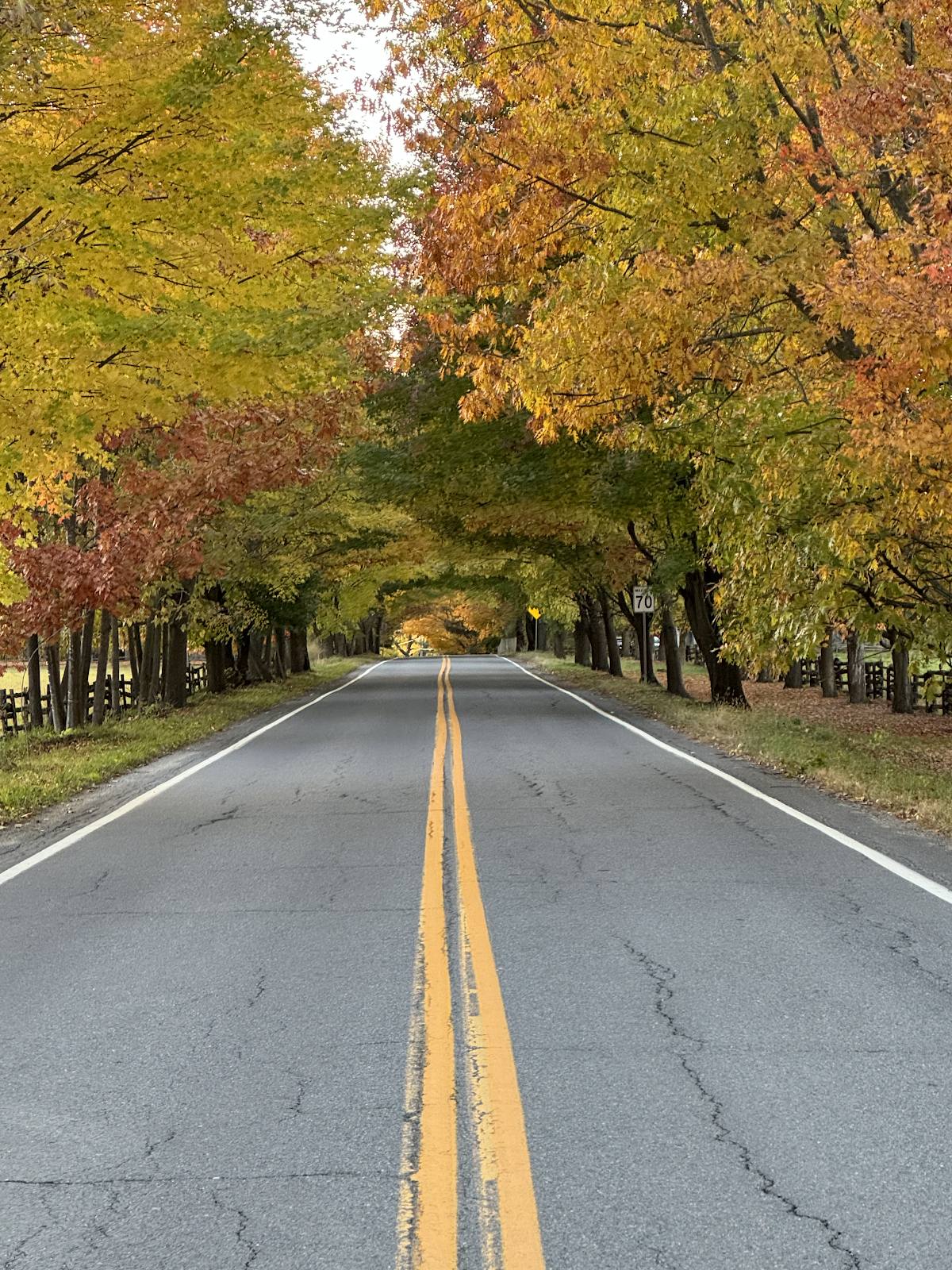 Autumn road