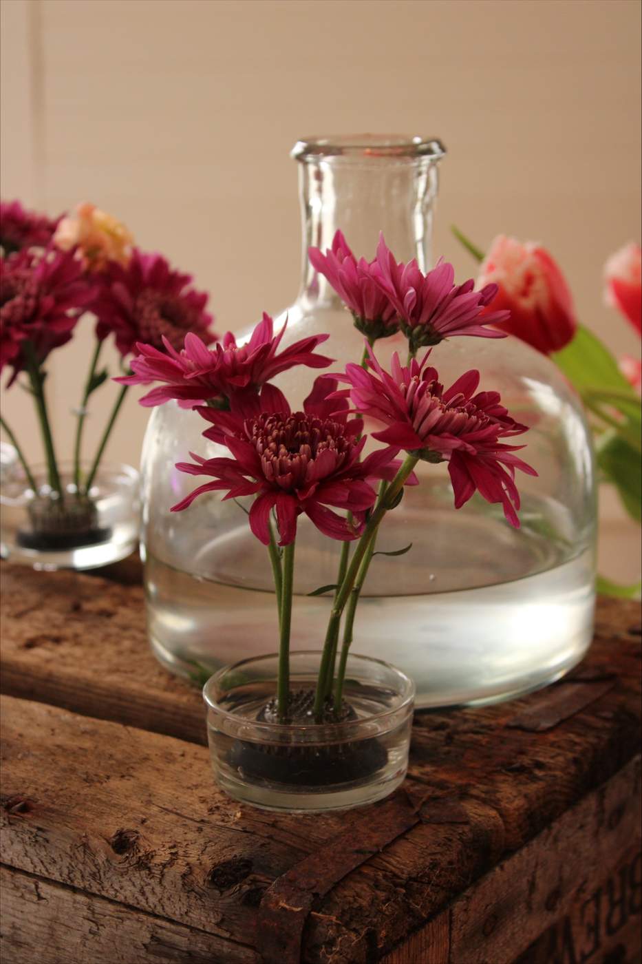 Chrysanthemums
